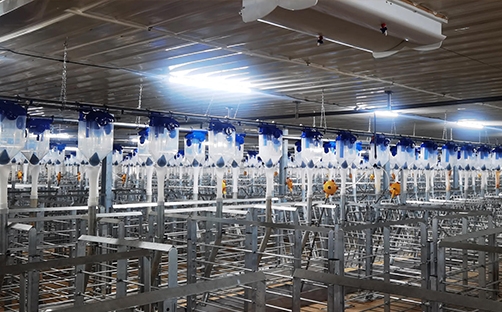 智能農牧業-智慧養殖系統