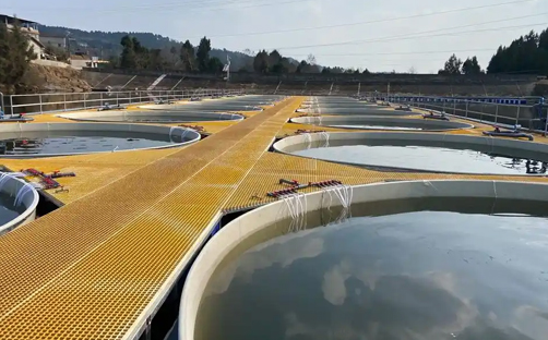 水產養殖水質監控系統